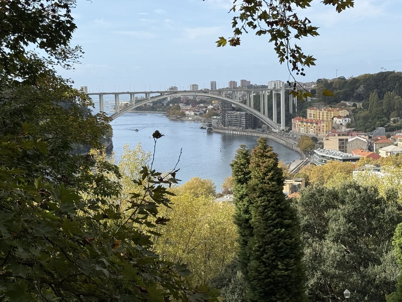The arched Ponte da Arrábida spanning the Douro, seen through the trees from the gardens of the Palácio de Cristal